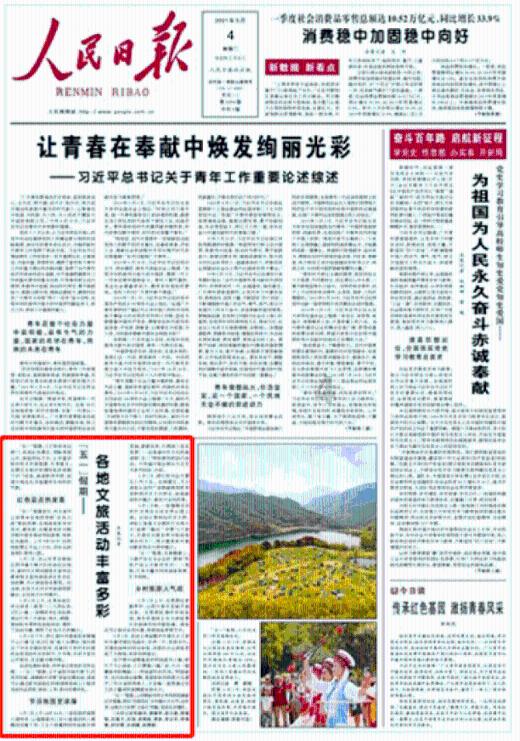 哈哈电竞